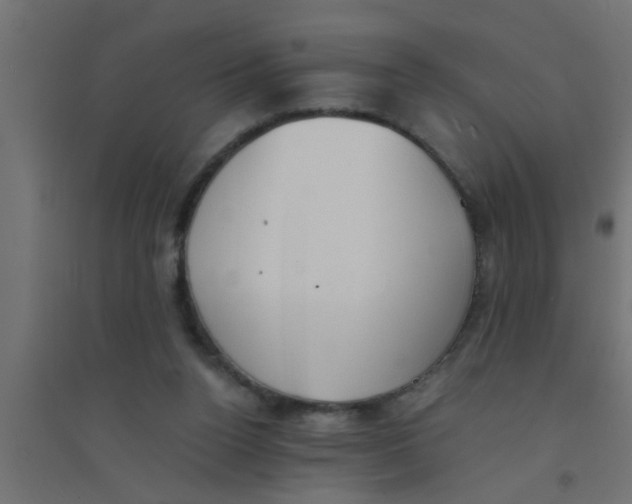 X0000094320160200711241815