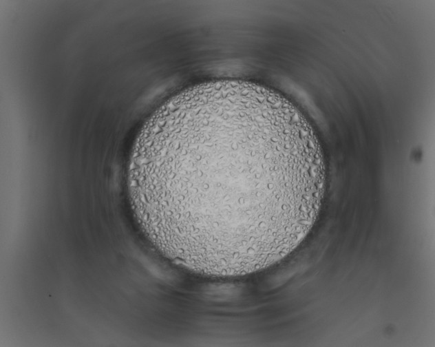 X0000094320161200711241815