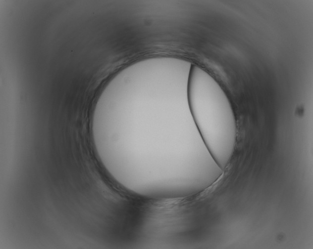 X0000094320162200711241815