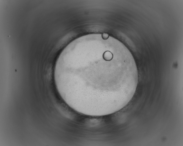 X0000094320163200711241815