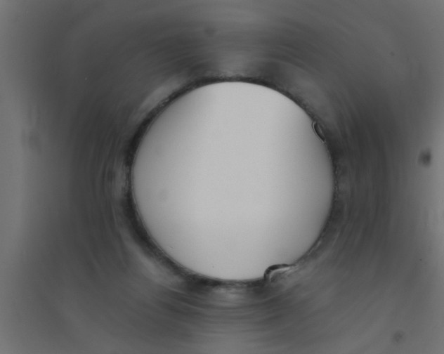 X0000094320164200711241815
