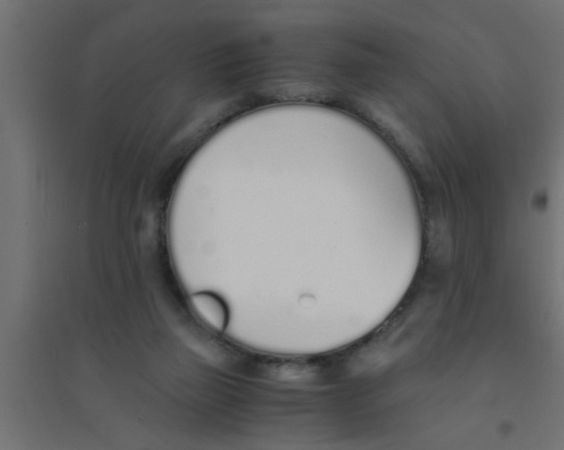 X0000094320165200711241815