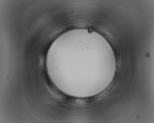 X0000094320166200711241815