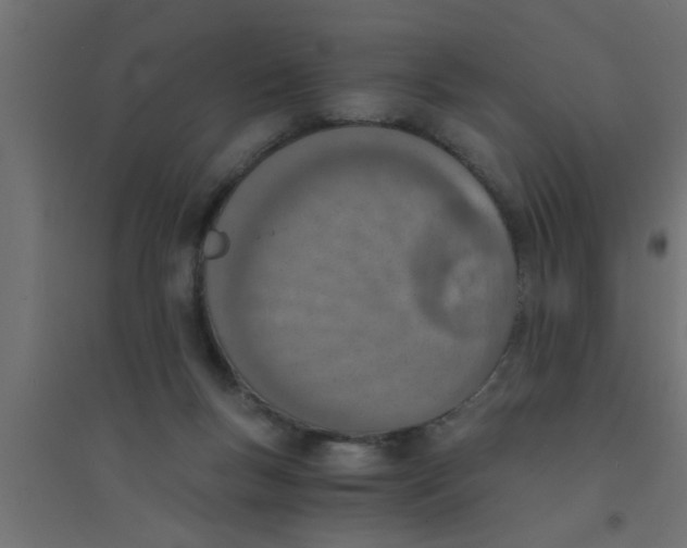 X0000094320167200711241815