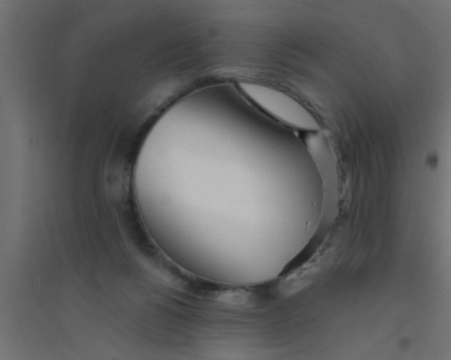 X0000094320168200711241815
