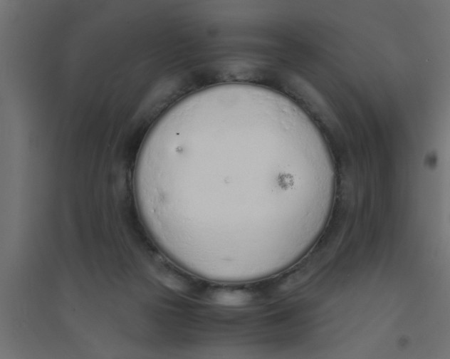 X0000094320169200711241815