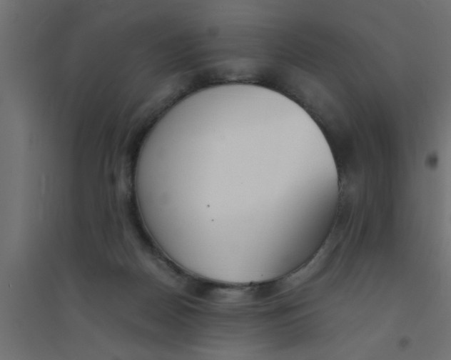 X0000094320170200711241815