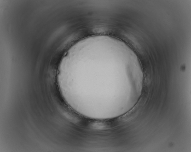 X0000094320171200711241815