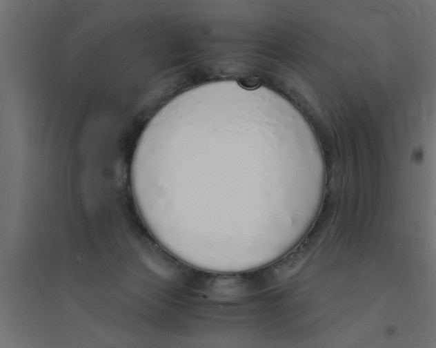 X0000094320173200711241815