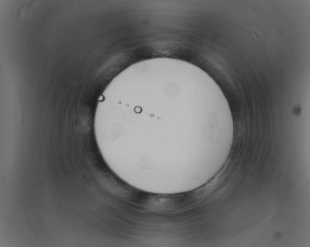 X0000094320174200711241815