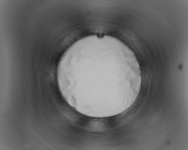 X0000094320175200711241815