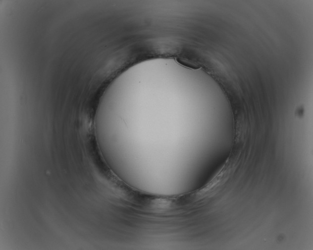 X0000094320176200711241815