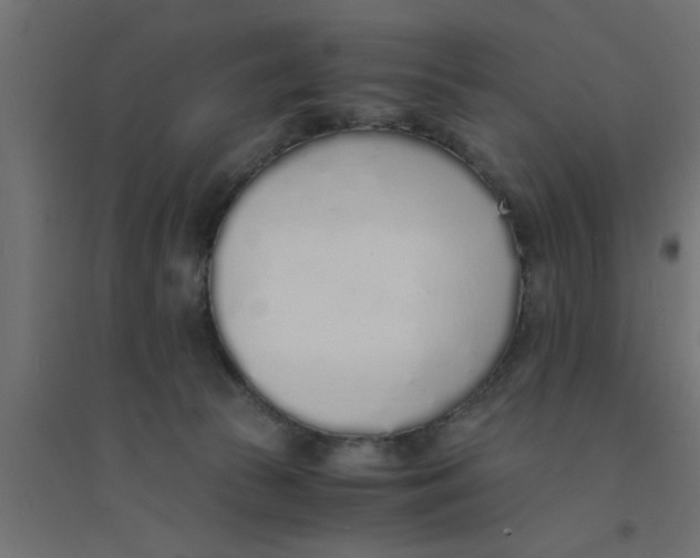 X0000094320177200711241815