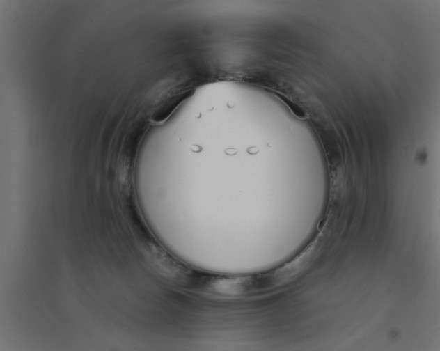 X0000094320178200711241815