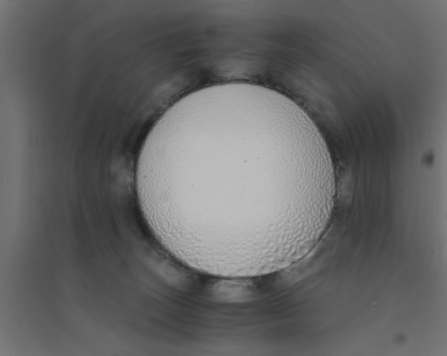 X0000094320179200711241815
