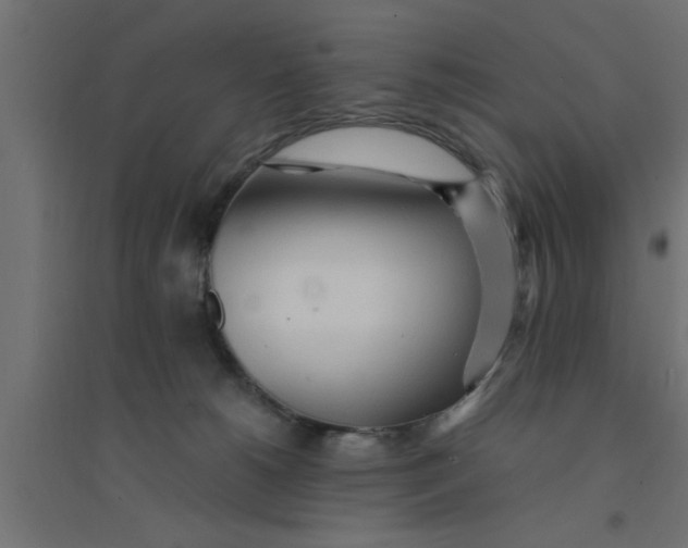 X0000094320180200711241815