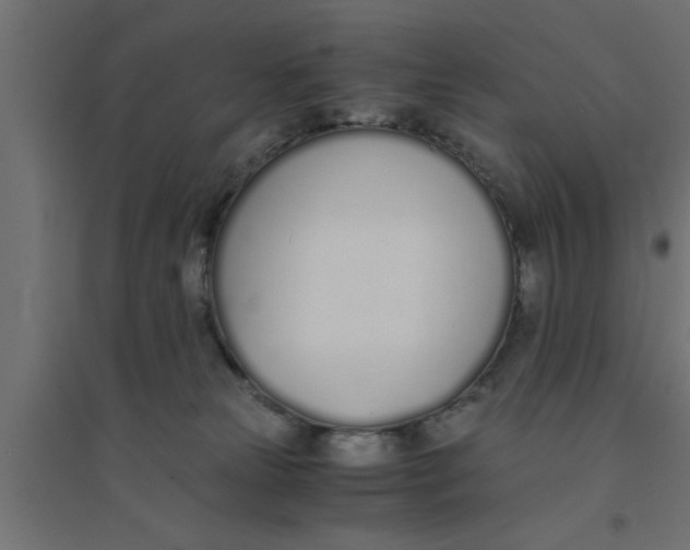X0000094320181200711241815