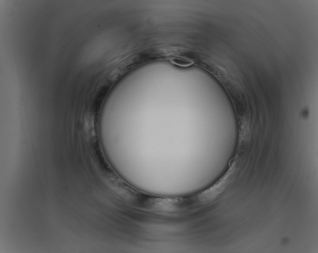 X0000094320182200711241815