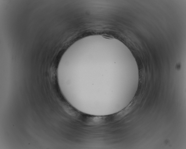 X0000094320184200711241815