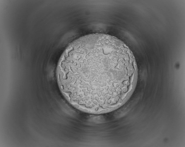 X0000094320185200711241815