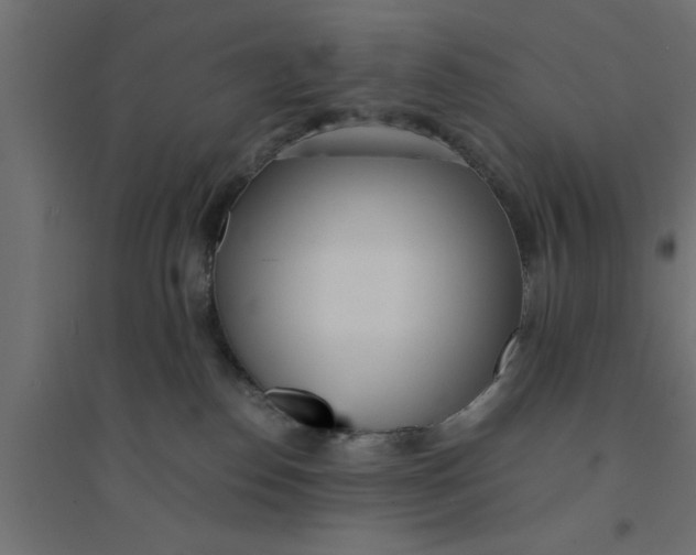 X0000094320186200711241815