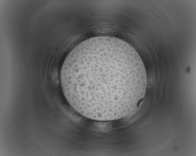 X0000094320187200711241815