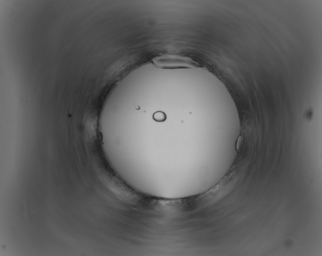 X0000094320188200711241815