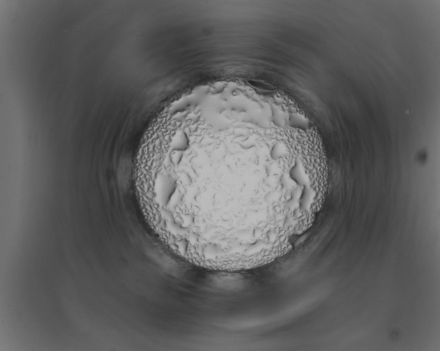 X0000094320189200711241815