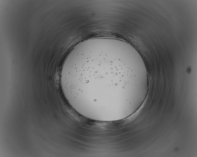 X0000094320190200711241815