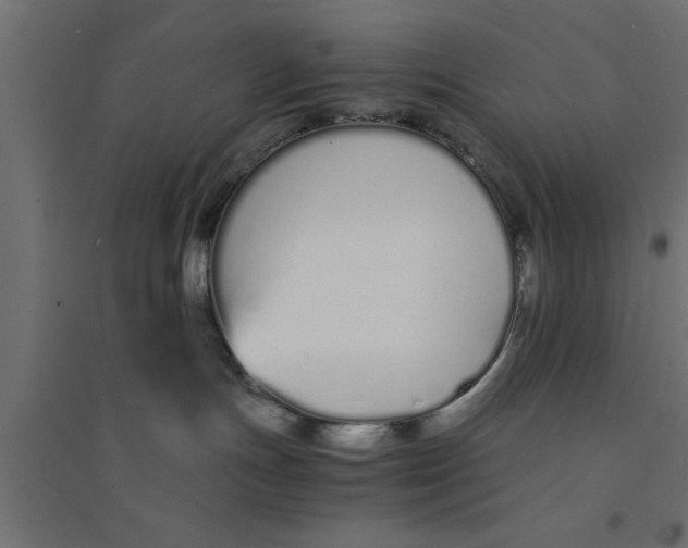 X0000094320191200711241815