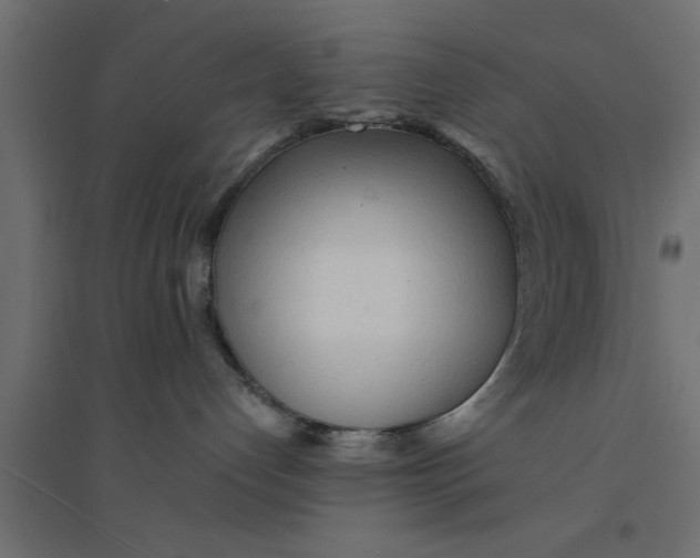 X0000094320192200711241815