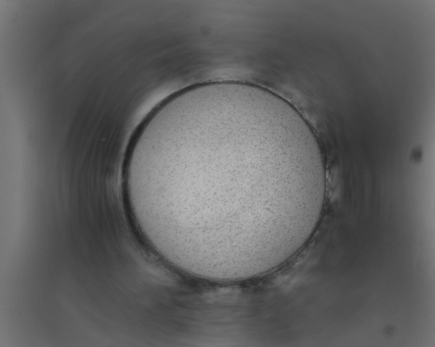 X0000094320196200711241814