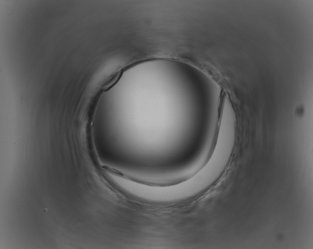 X0000094320197200711241814