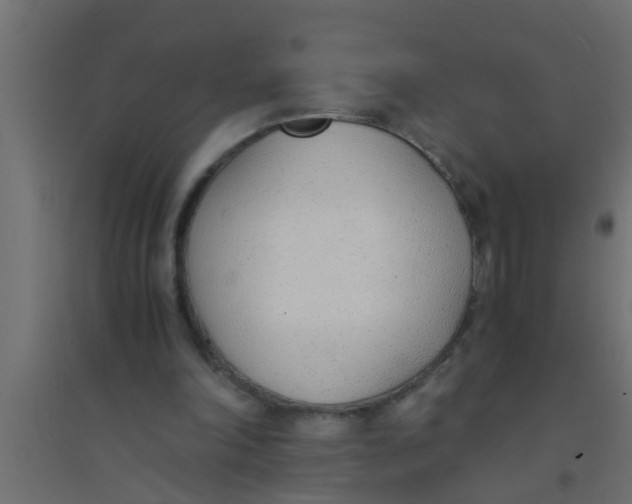 X0000094320198200711241814
