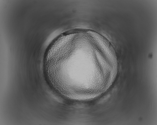 X0000094320199200711241814