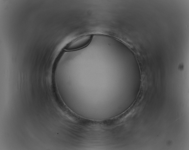 X0000094320200200711241814