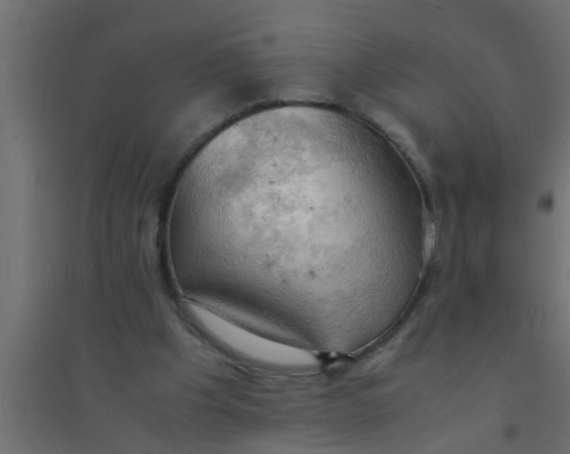 X0000094320201200711241814