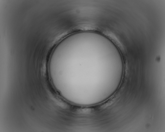 X0000094320202200711241814