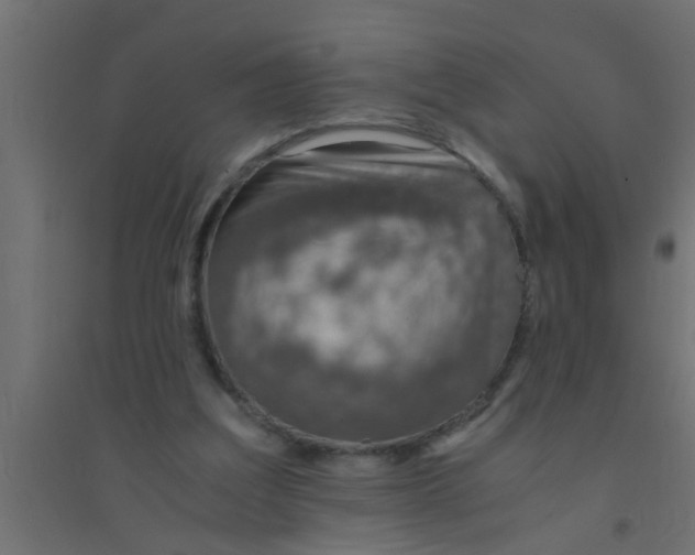X0000094320203200711241814