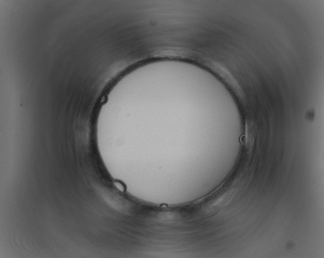 X0000094320204200711241814