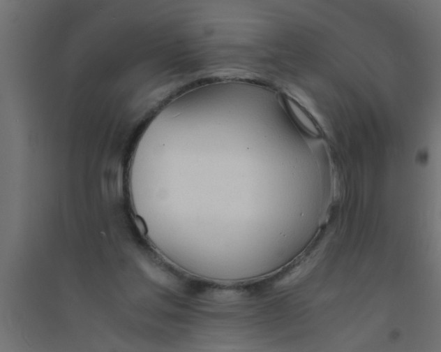 X0000094320205200711241814