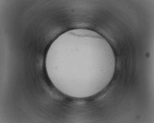 X0000094320206200711241814
