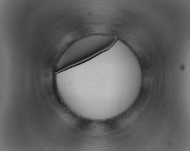 X0000094320207200711241814