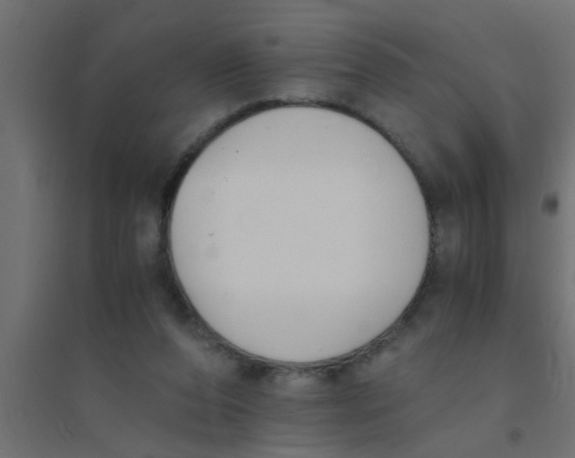 X0000094320208200711241814