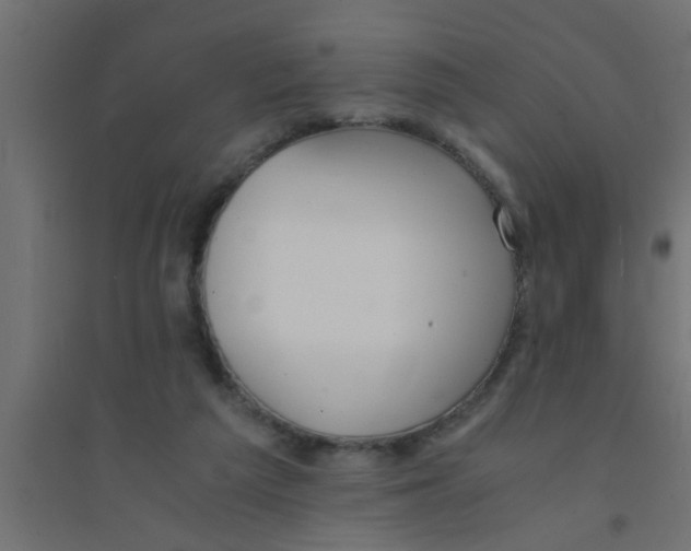 X0000094320209200711241814