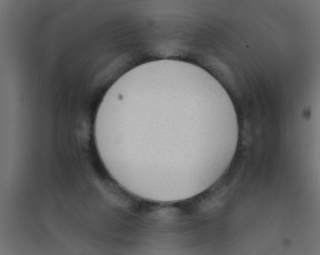 X0000094320210200711241814