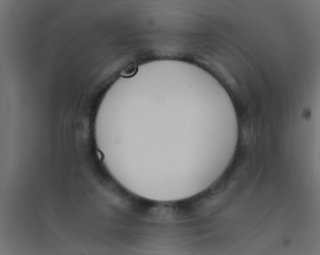 X0000094320211200711241814