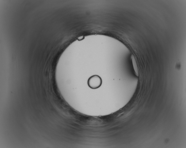 X0000094320215200711241814