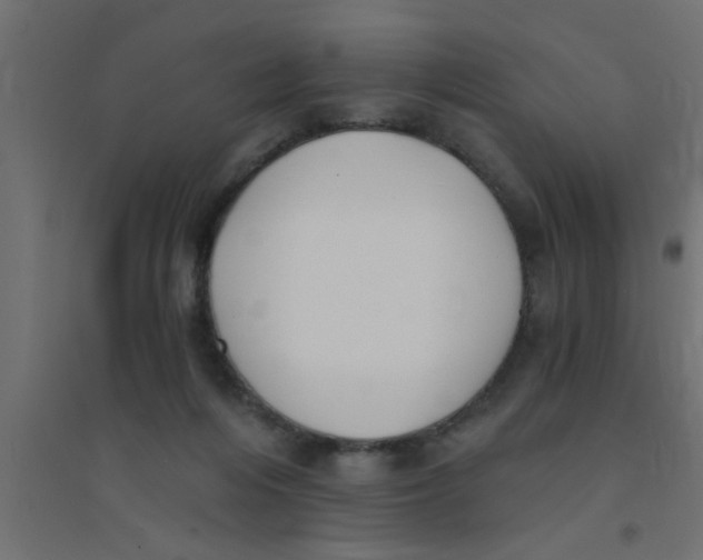 X0000094320216200711241814