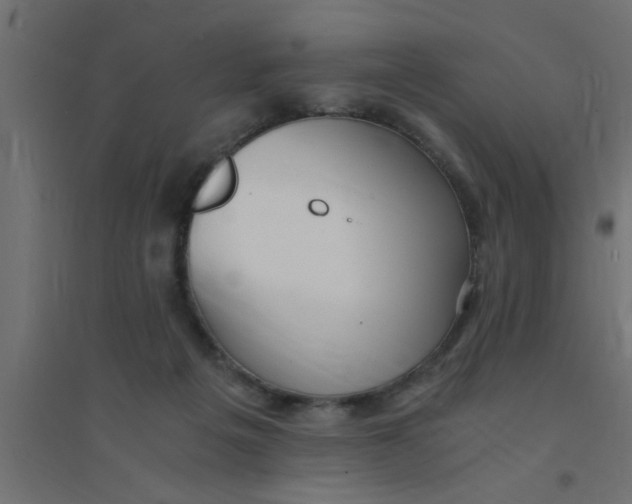 X0000094320217200711241814